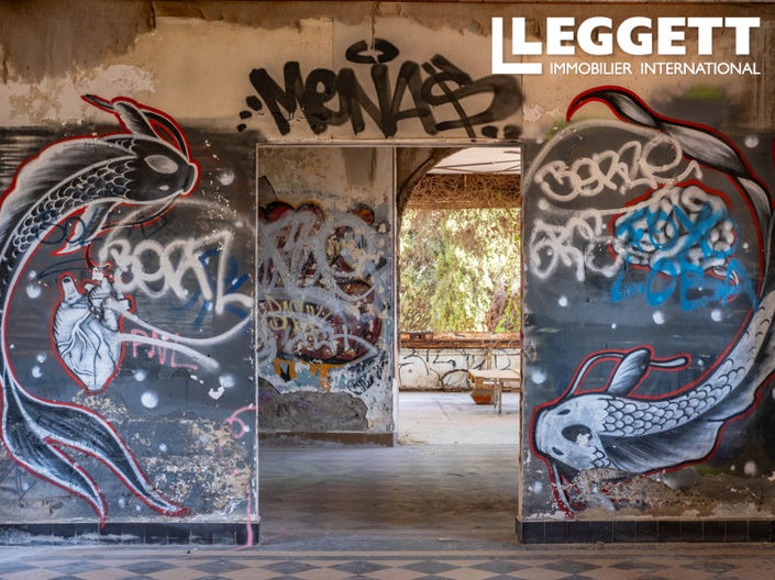 Image No.7-Chateaux for sale