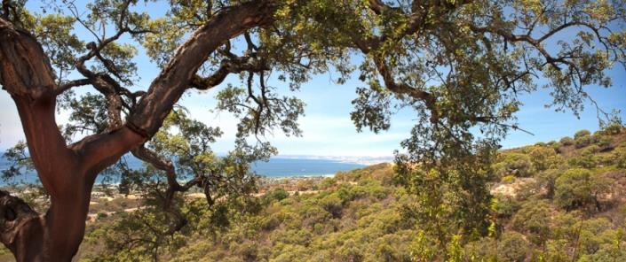 Image No.20-Appartement de 2 chambres à vendre à Elviria