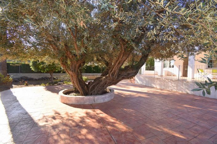 Image No.34-3 Bed Villa for sale