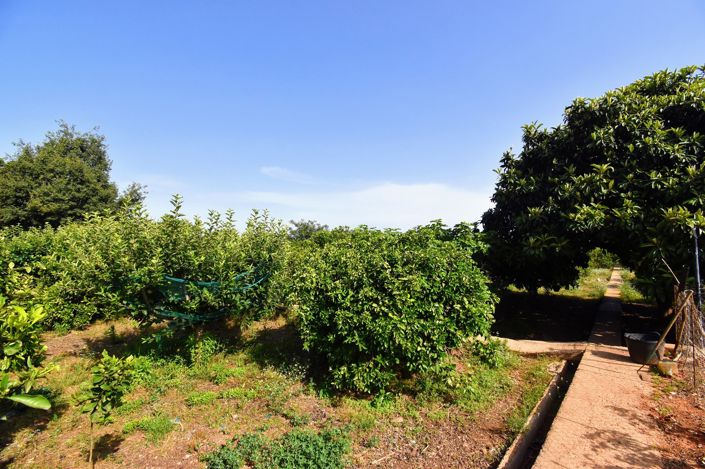 Image No.34-5 Bed Villa for sale