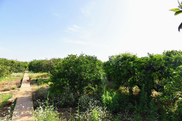 Image No.35-5 Bed Villa for sale