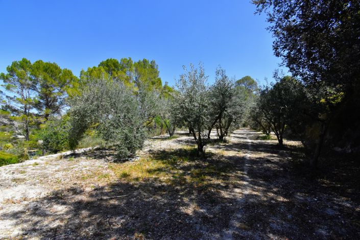 Image No.19-3 Bed Villa for sale