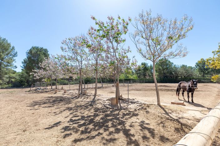 Image No.39-5 Bed Villa for sale