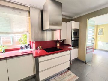 ncbl55538394609