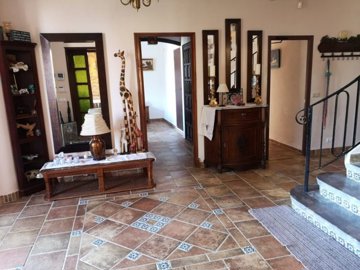 ncbo56648499837
