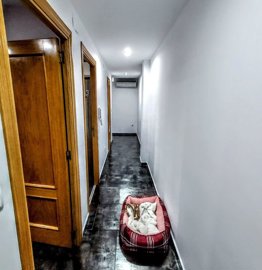 vlc937020260212155930-edit