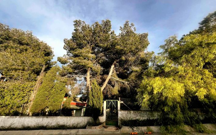 Image No.4-2 Bed Villa for sale