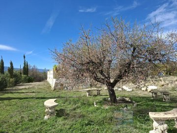 villa-freesia--resale-villa-for-sale-in-parta