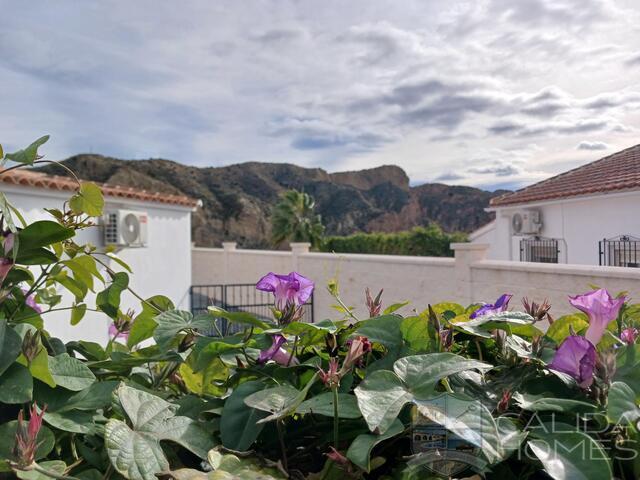 Image No.3-4 Bed Villa for sale