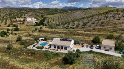 villa-floral--resale-villa-for-sale-in-el-mar