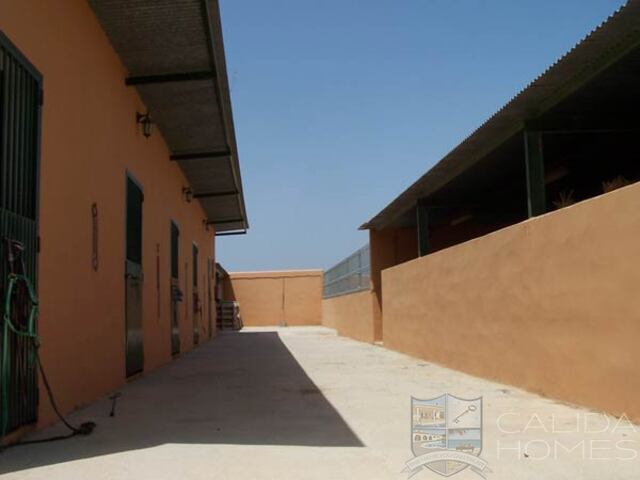 Image No.5-Villa de 5 chambres à vendre à Antas