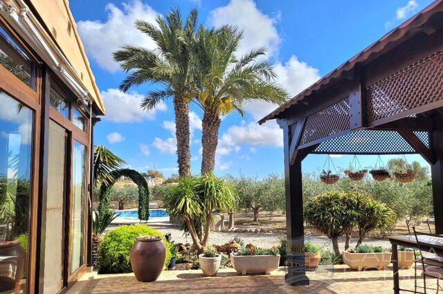 Image No.3-Villa de 3 chambres à vendre à Mojacar