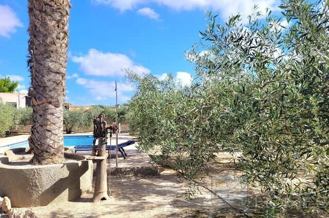 Image No.6-Villa de 3 chambres à vendre à Mojacar