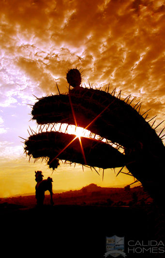 Image No.15-3 Bed Property for sale