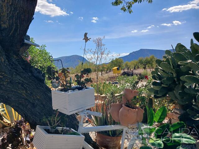 Image No.3-6 Bed Townhouse for sale