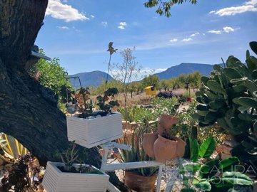 casa-cleopatra-village-or-town-house-for-sale