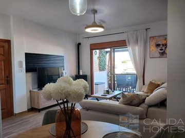 apartment-salsa--apartment-for-sale-in-paloma