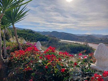 casa-de-bella--resale-villa-for-sale-in-arbol