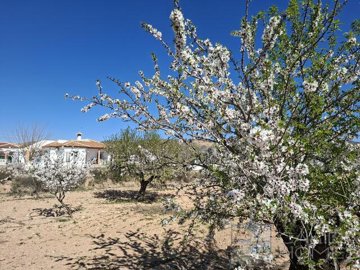 villa-aster--resale-villa-for-sale-in-albox-2