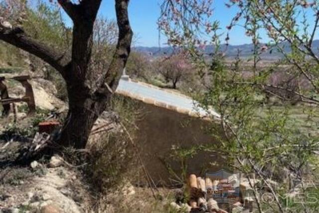 Image No.17-Maison de 6 chambres à vendre à Velez Blanco