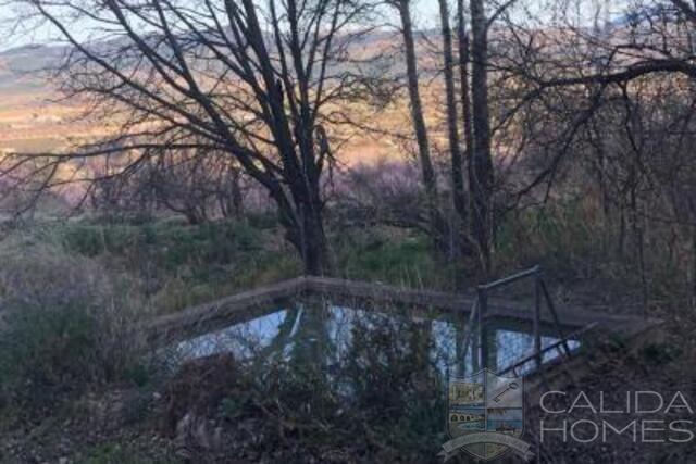 Image No.18-Maison de 6 chambres à vendre à Velez Blanco