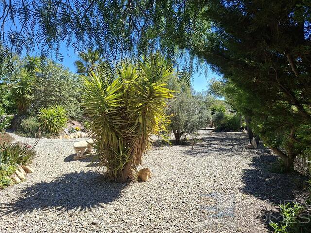 Image No.7-4 Bed Villa for sale