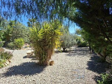 casa-de-sol--resale-villa-for-sale-in-arbolea