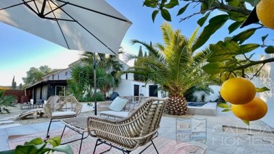 casa-valley-detached-character-house-for-sale