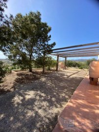 cortijo-arbol-detached-character-house-for-sa
