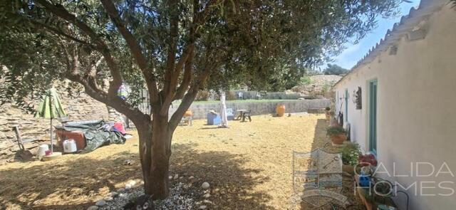 Image No.5-5 Bed Property for sale
