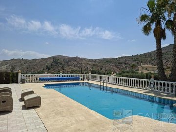 villa-palacio--resale-villa-for-sale-in-arbol
