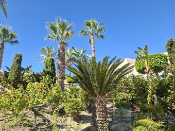 palmera-golf-duplex-duplex-for-sale-in-vera-8