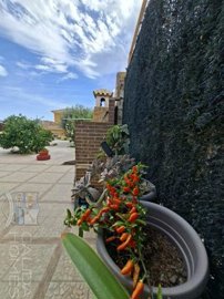 villa-conchi-resale-villa-for-sale-in-arbolea