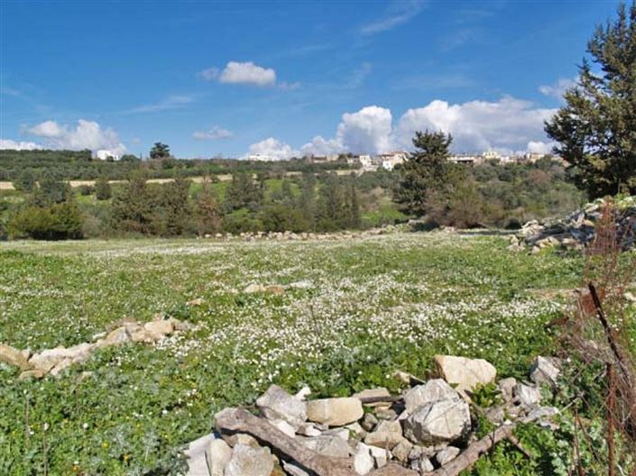 Image No.2-Terrain à vendre à Nippos