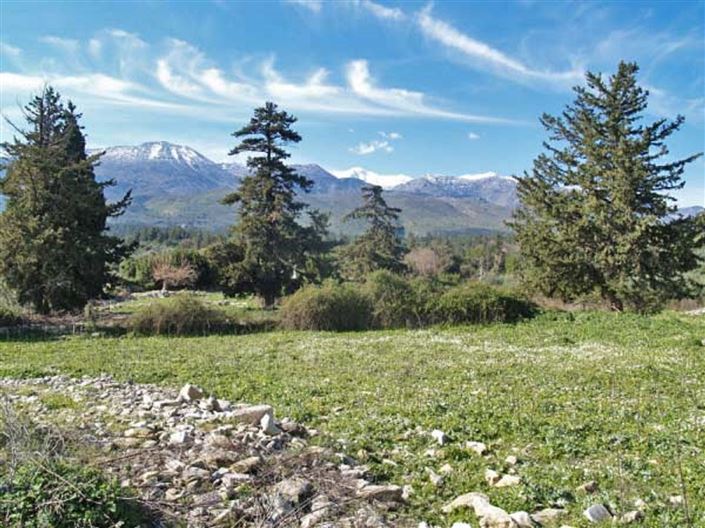 Image No.3-Terrain à vendre à Nippos