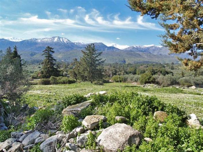 Image No.4-Terrain à vendre à Nippos