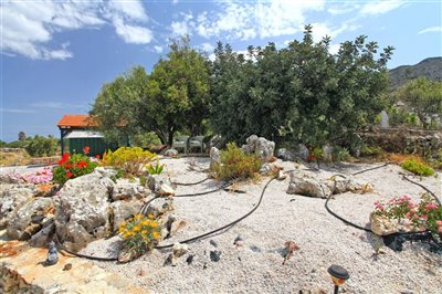 14garden2-1653301889
