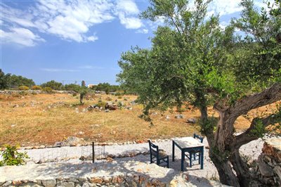 13garden-1653301889