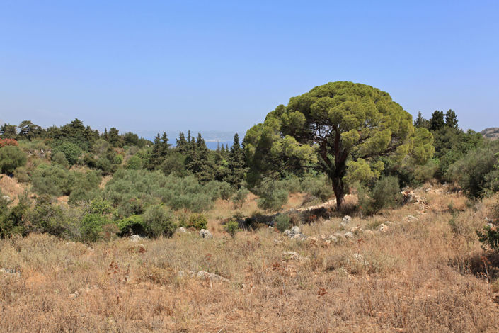 Image No.30-4 Bed Villa for sale