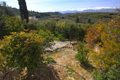 13garden-1742821665