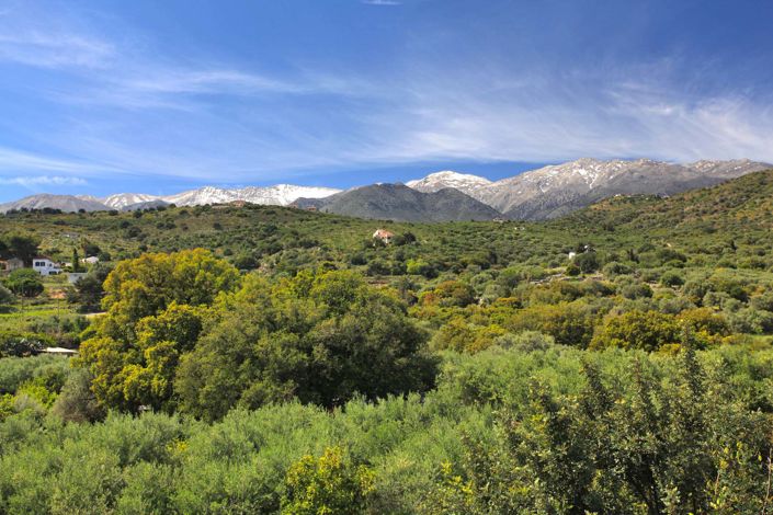 Image No.25-Villa de 3 chambres à vendre à Grèce