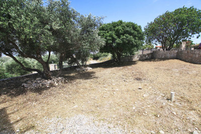 11garden-1747907960