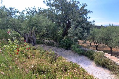 14garden-1748943847