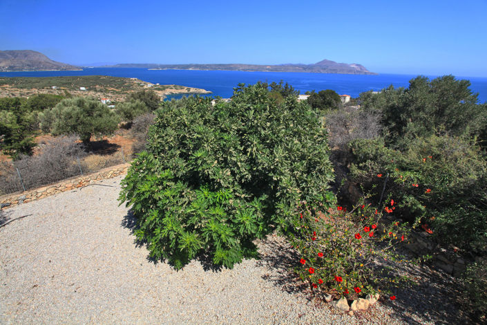 Image No.21-2 Bed Villa for sale