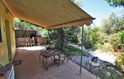 14rearpatio2-1781093404