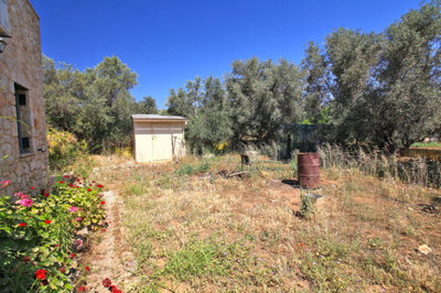 16gardenorroomforpool-1781093393