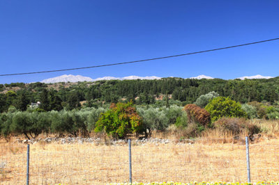 17view-1786619053