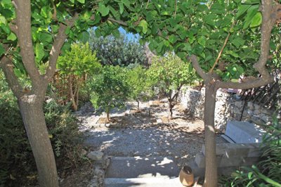 13garden-1633781122