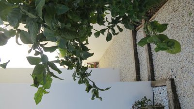 propertyimage1bwmstyqzj20250304043813