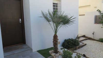 propertyimage1yd5ockiwh20250304043818